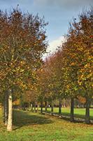 Cjp_2009_10_29_152953 (1)_HDR-D1.jpg